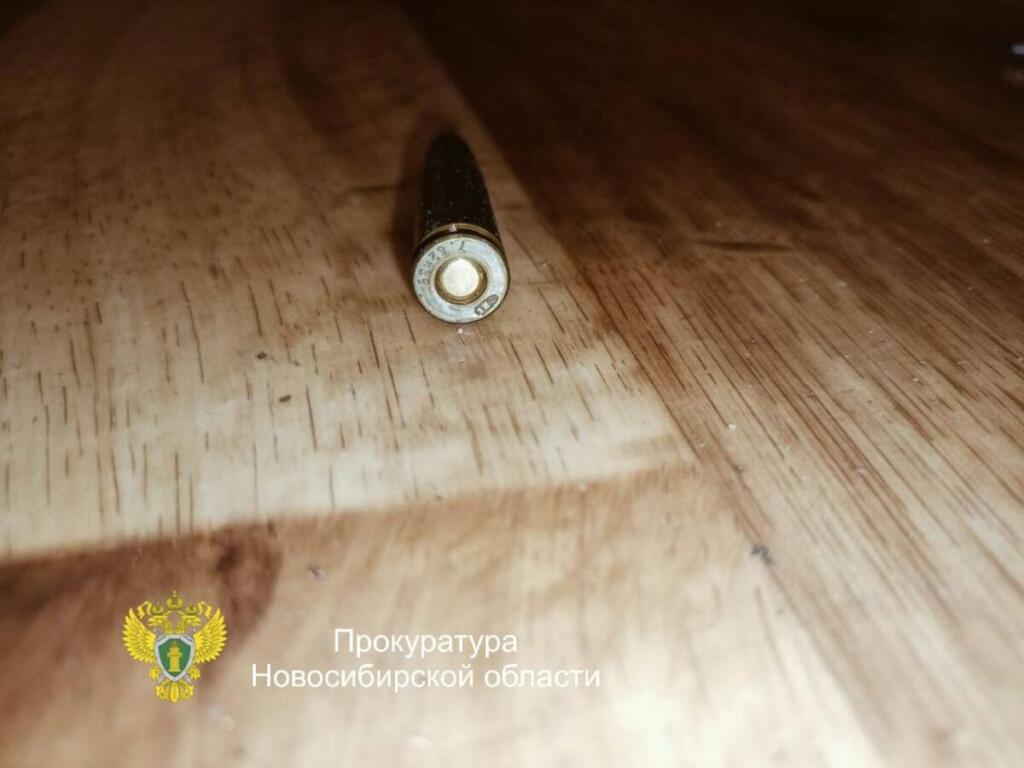 Боеприпасы изъяли