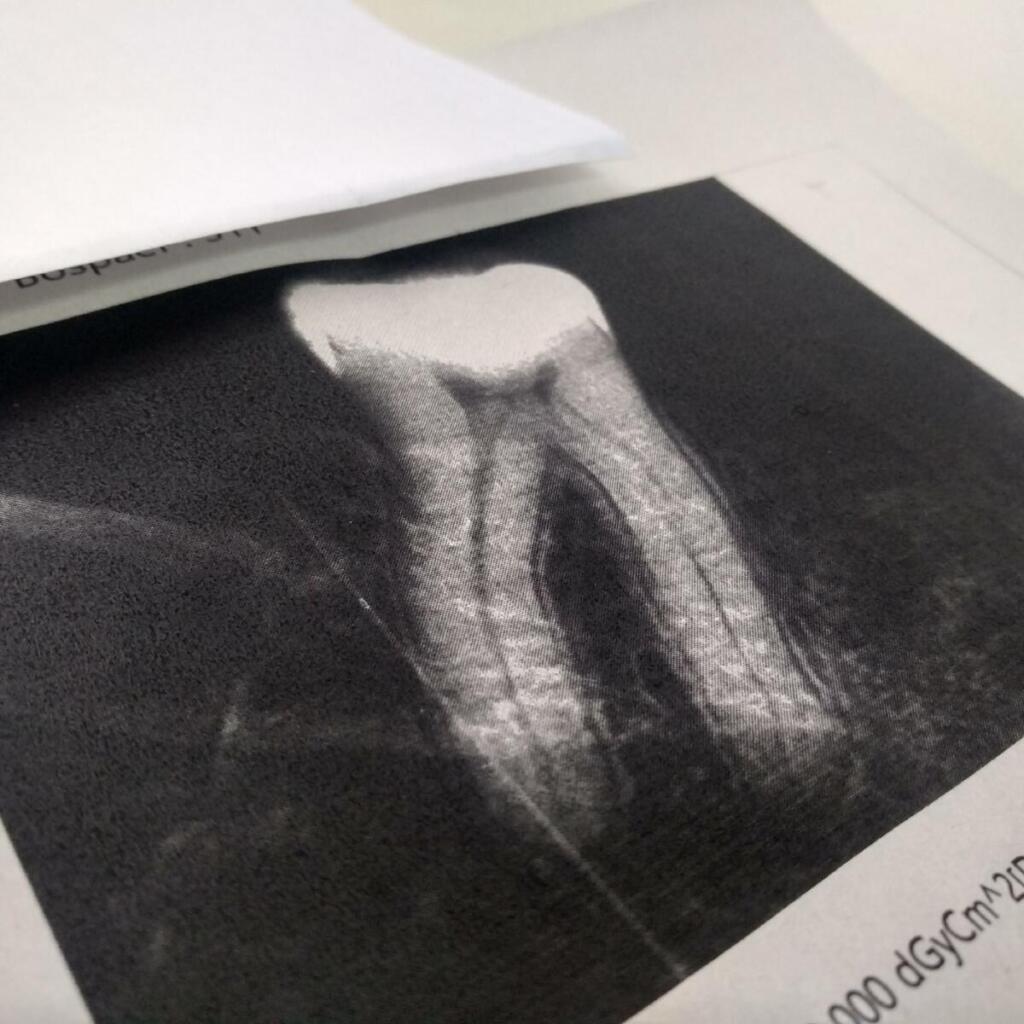 Услуги стоматолога