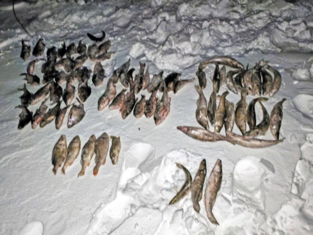 Улов браконьера