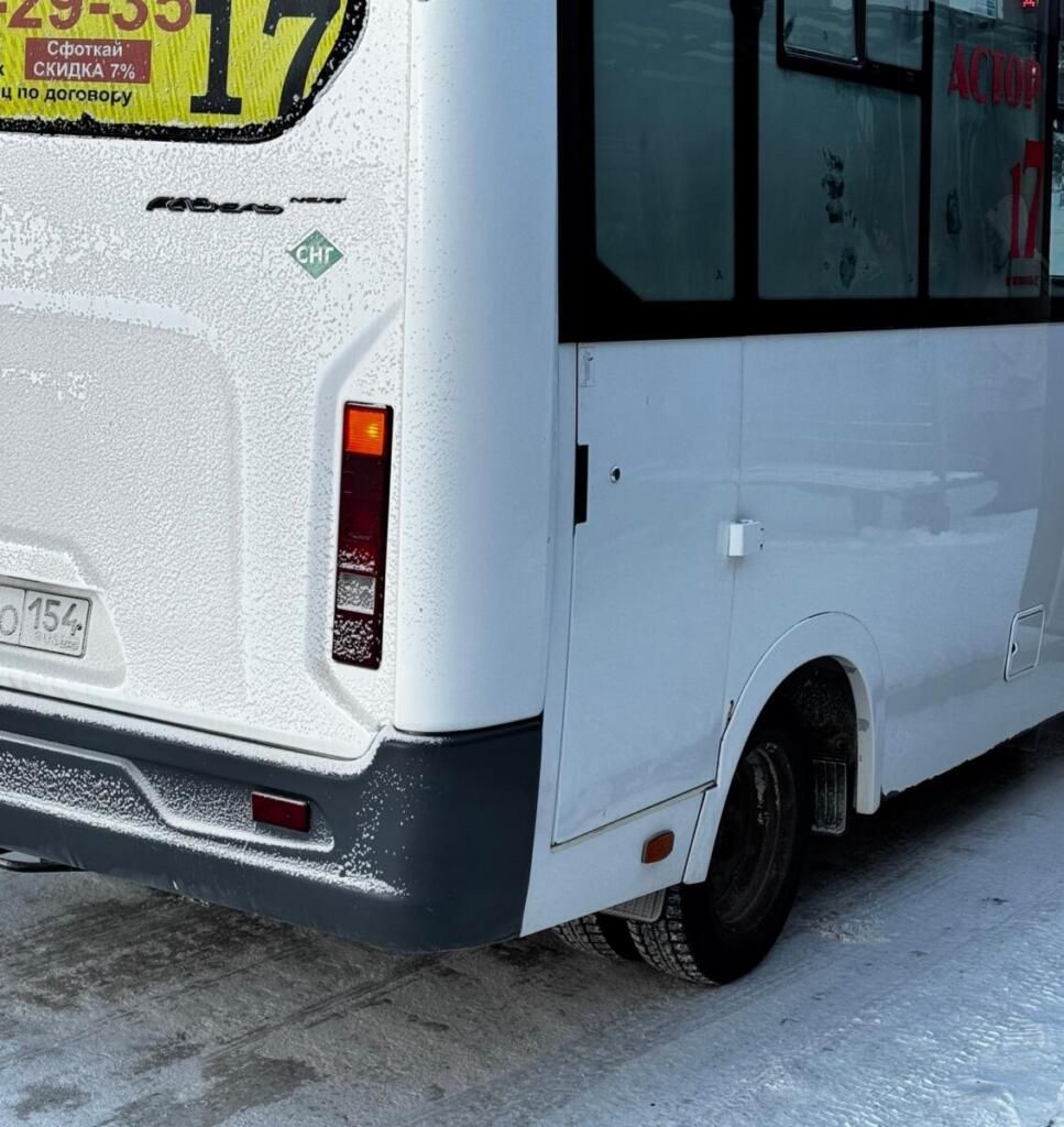 Инцидент в маршрутке