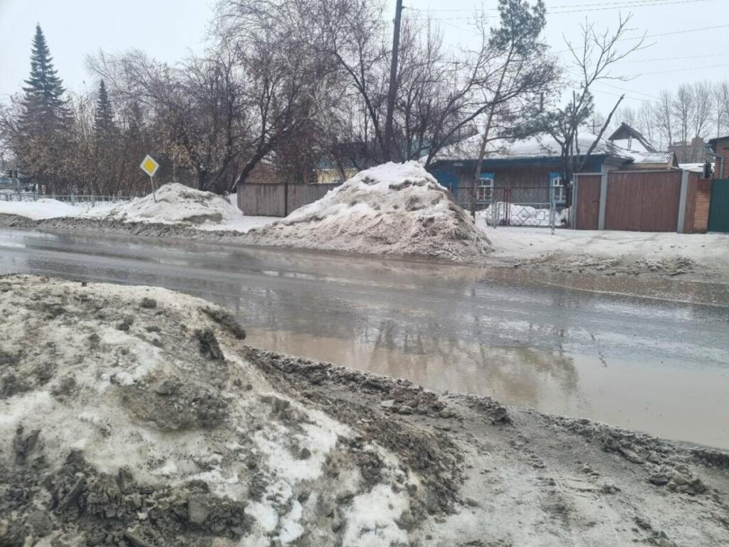 Оттепель в Бердске