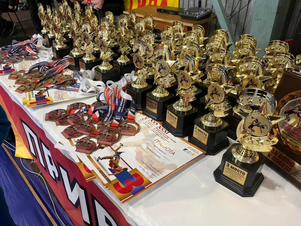 Комплект медалей разыграли борцы в Бердске