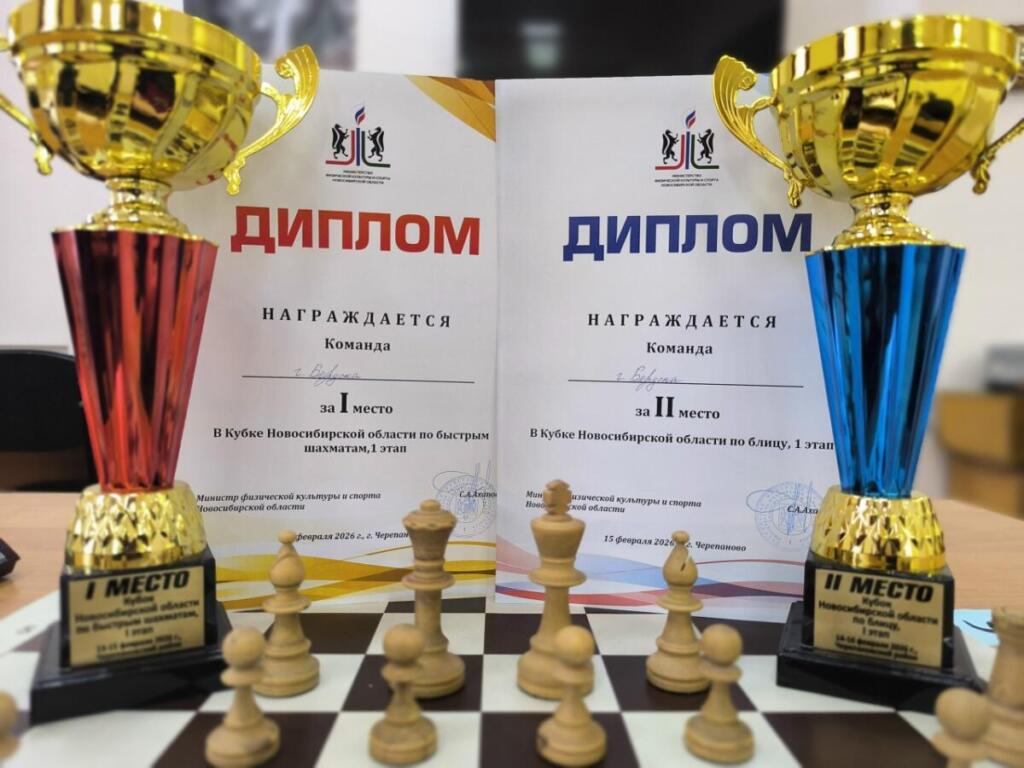 Кубки шахматистов