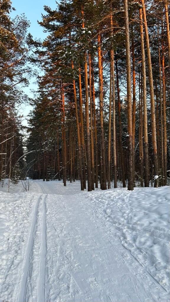 Трасса лыжной базы