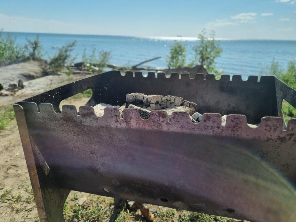 Шашлыки в Бердске