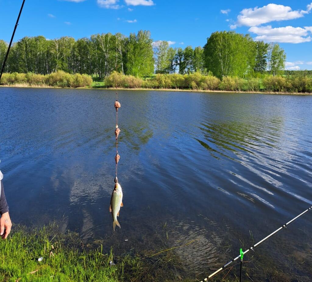 Любимое хобби закончилось трагедией