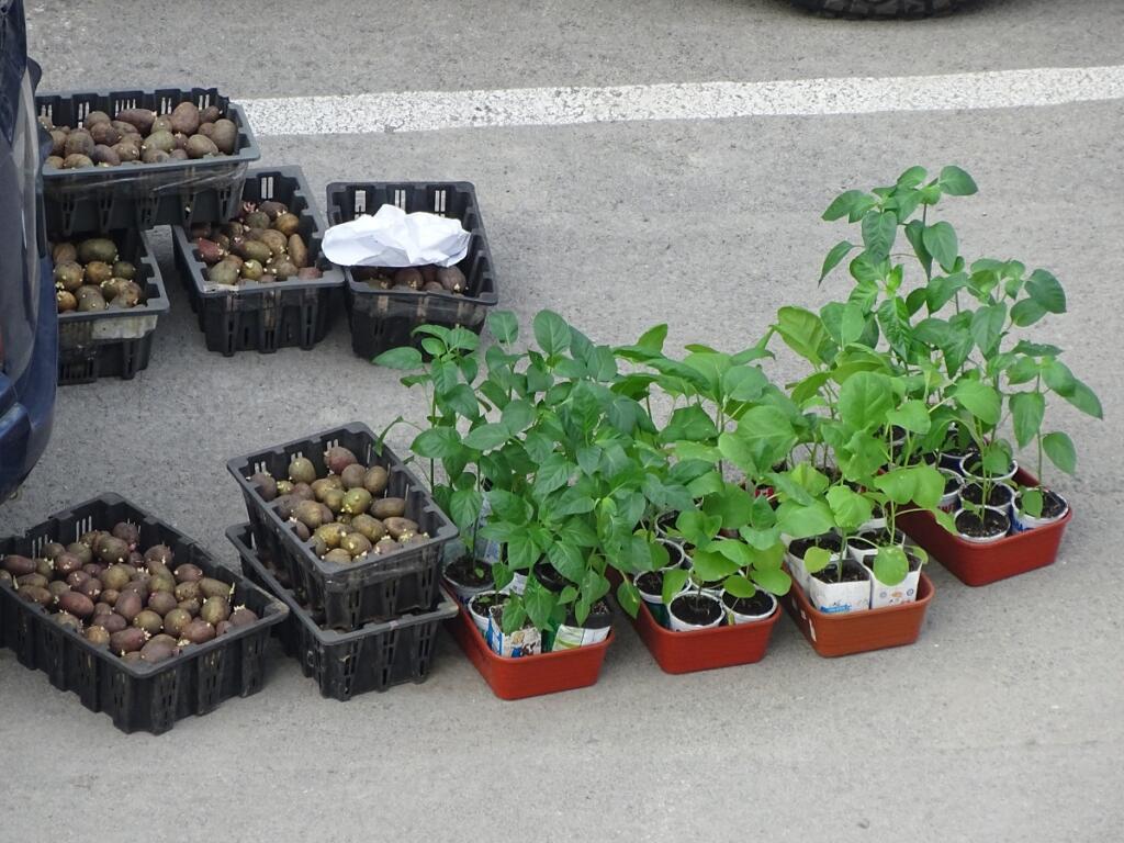 Решение о продлении маршрута было принято для удобства дачников