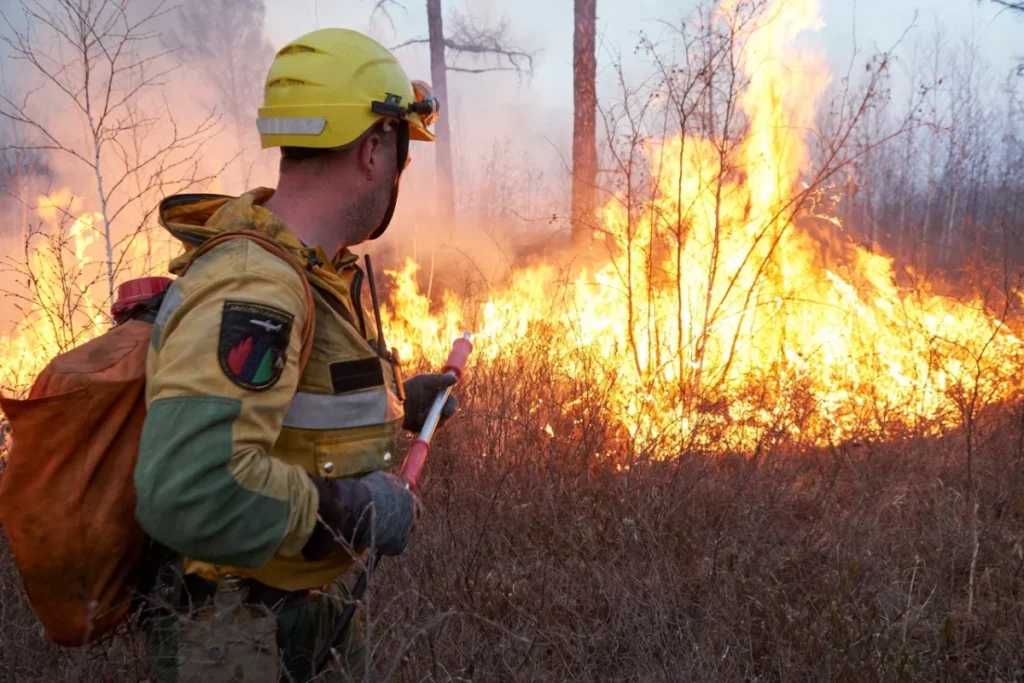 Лесные и ландшафтные пожары