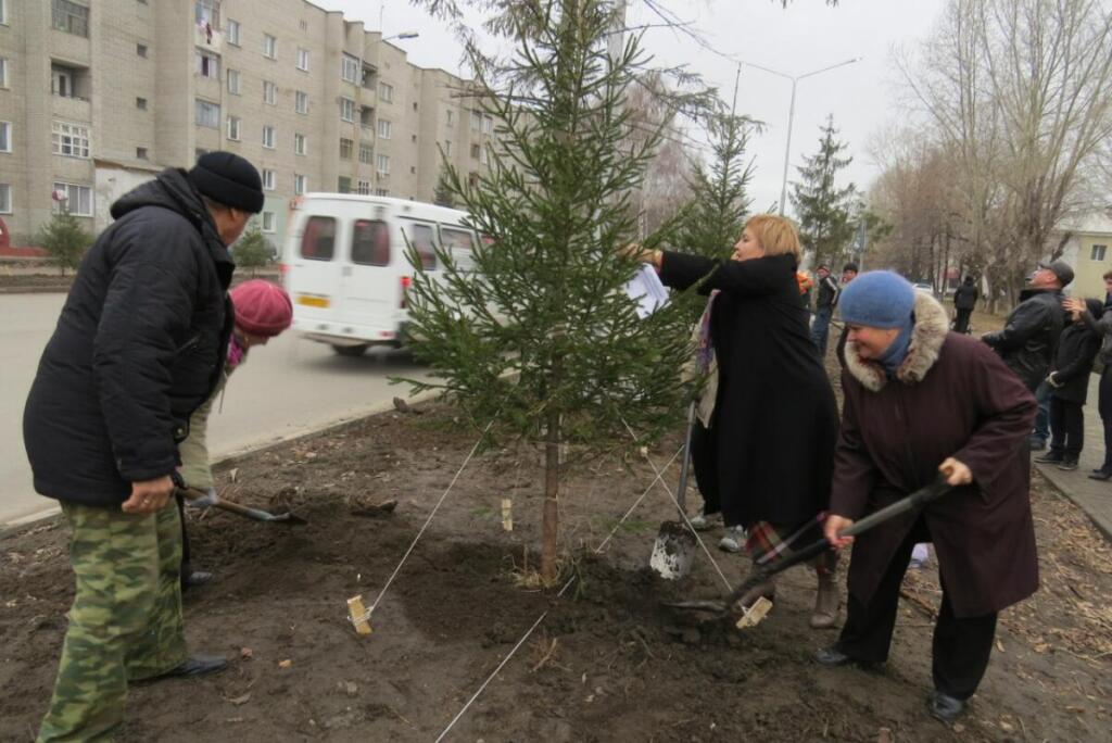В 2014 году в Бердске все желающие участвовали в высадке елок на ул. Ленина