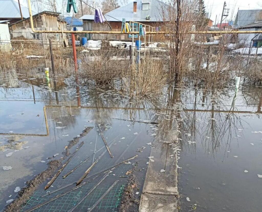 Дома и усадьбы залиты грунтовыми водами - подземная река идет наверх