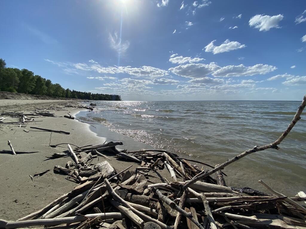 Места массового отдыха людей будут очищены от мусора