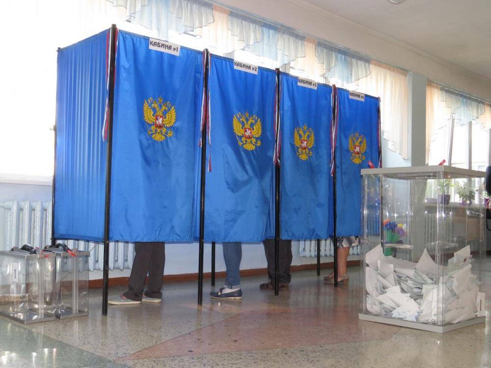 Выборы в Бердске