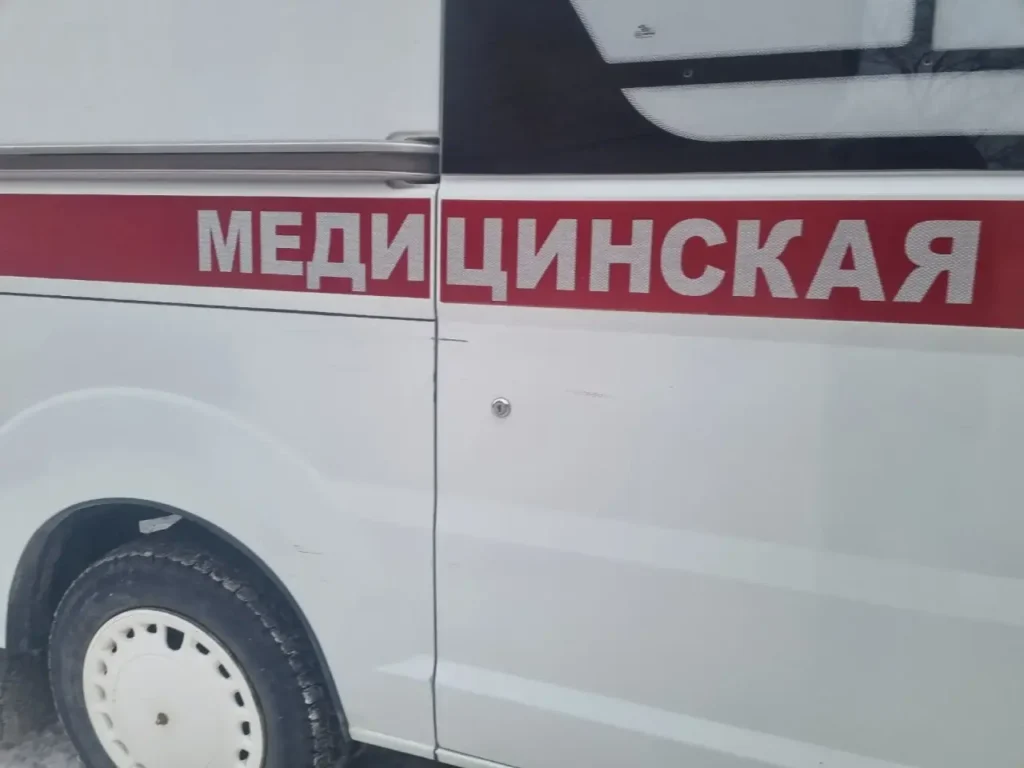 Хозяин немецких овчарок натравил животных на фельдшера скорой помощи