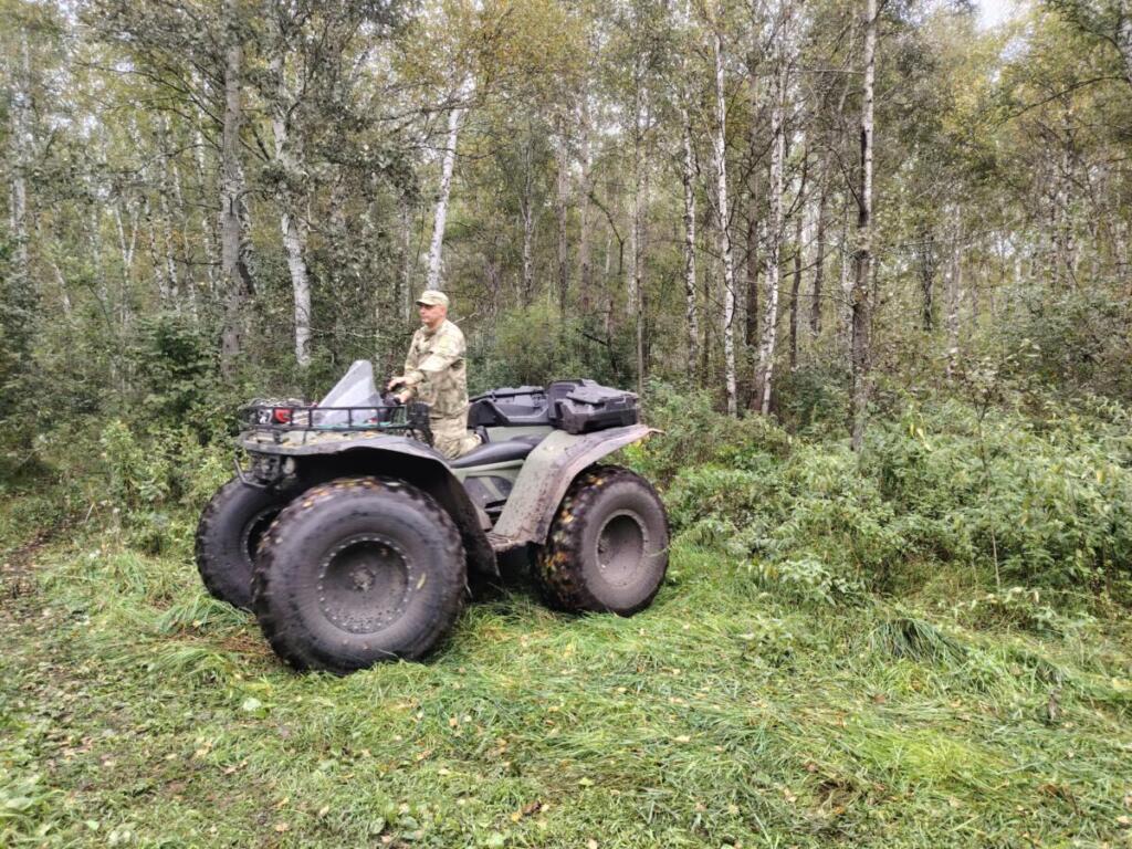 В Новосибирской области усилено патрулирование лесных массивов