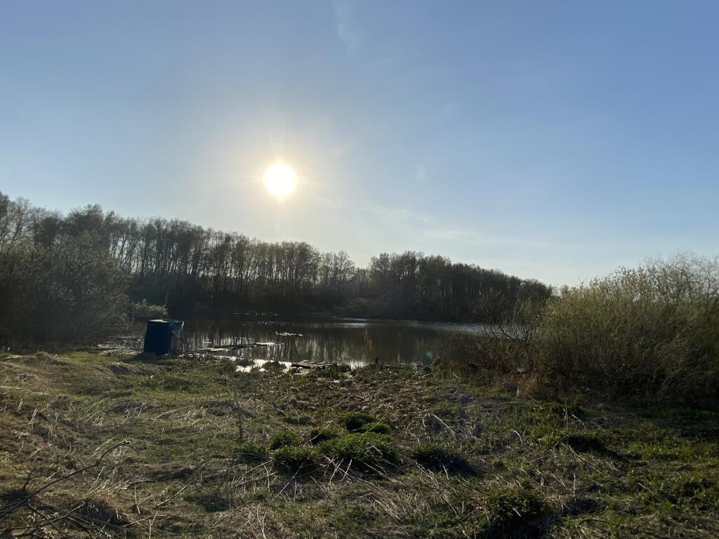 Тело находилось в воде в овраге у
